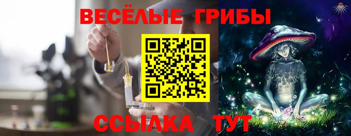 Псилоцибиновые грибы GOLDEN TEACHER Мариинск